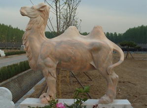 动物雕塑 骆驼 图片