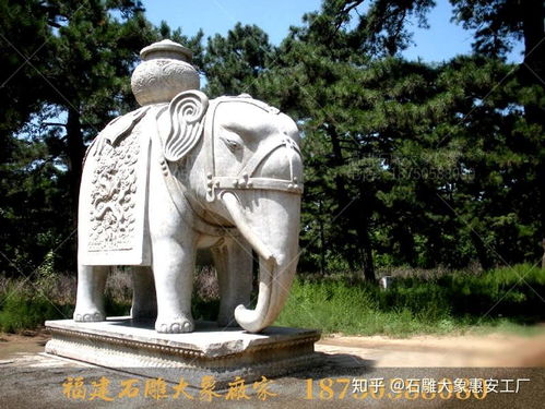 河北清西陵石雕大象造型及墓地摆放石象的作用