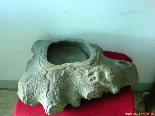 蒋石雕刻工艺品 竭诚办公